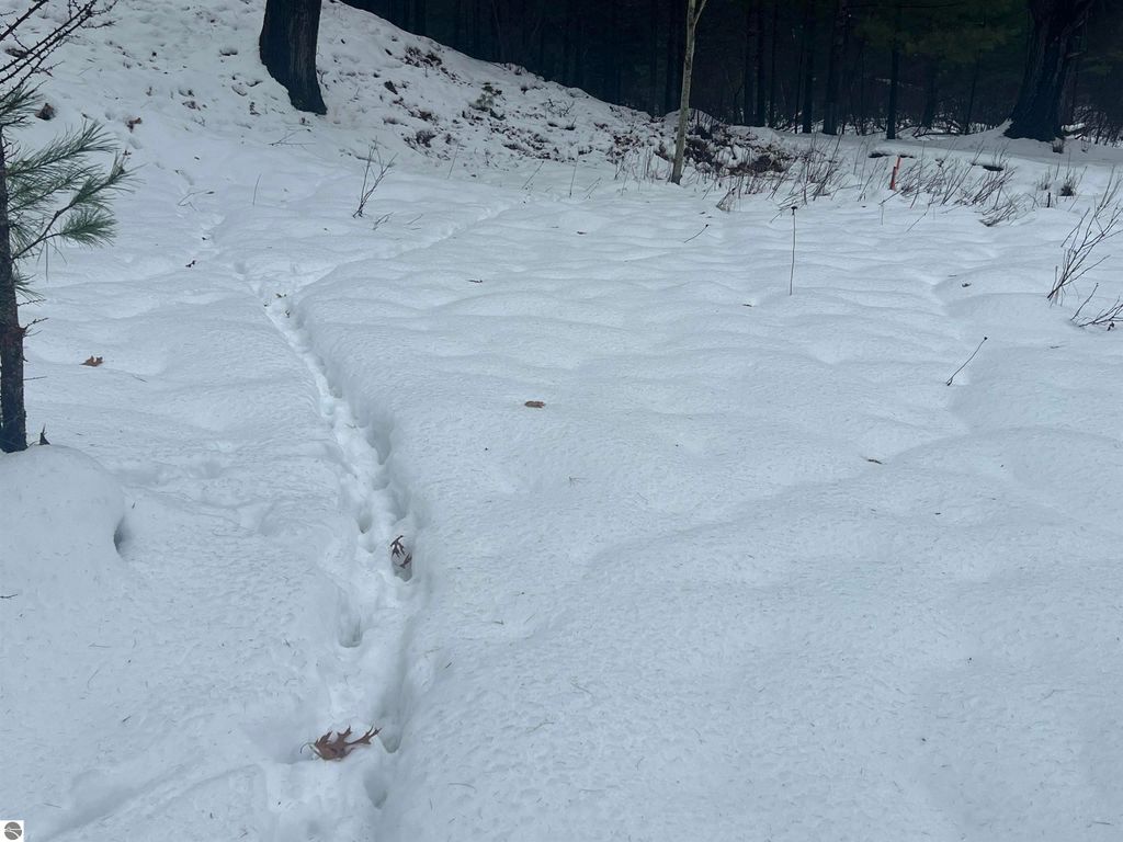 Image 30 of property listing at 9769 Parrot Circle, Fife Lake, MI 49633