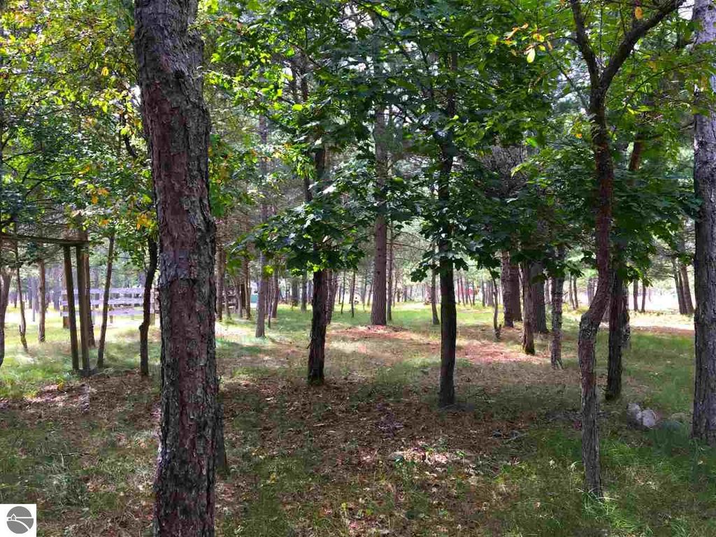 Image 6 of property listing at 9769 Parrot Circle, Fife Lake, MI 49633