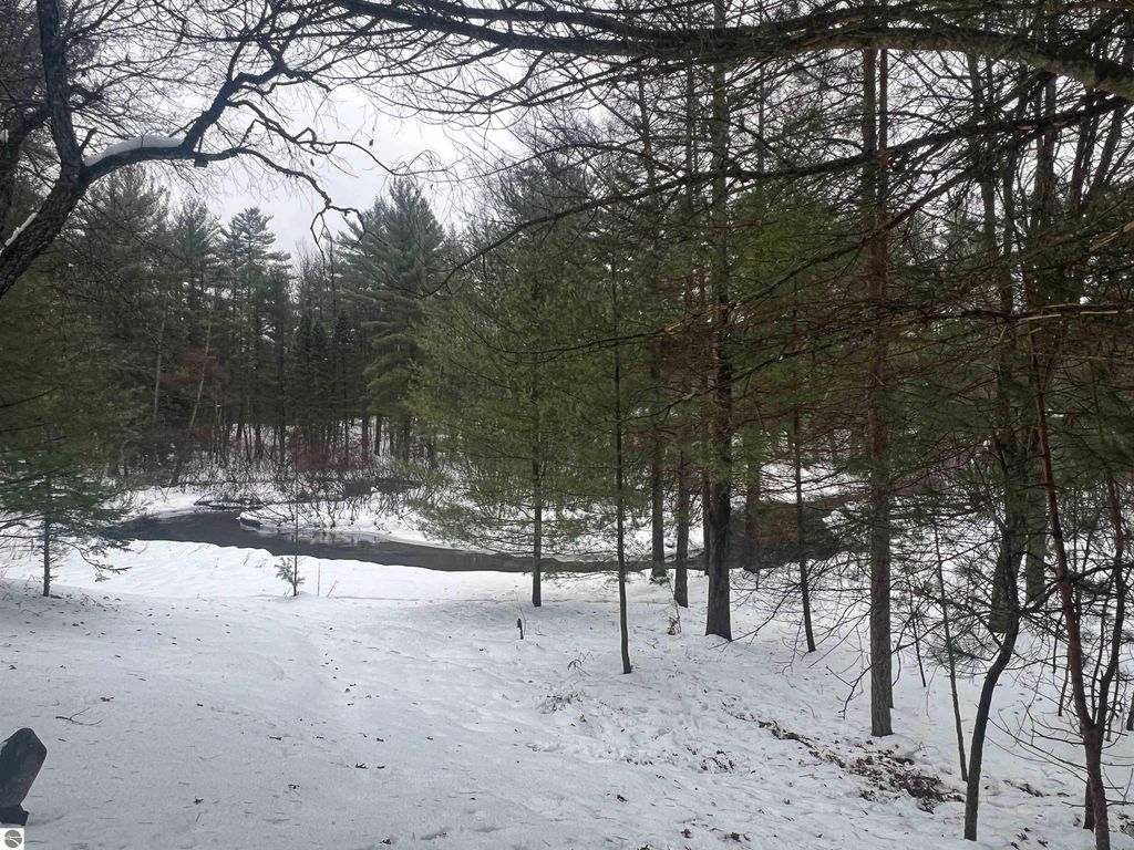 Image 7 of property listing at 9769 Parrot Circle, Fife Lake, MI 49633