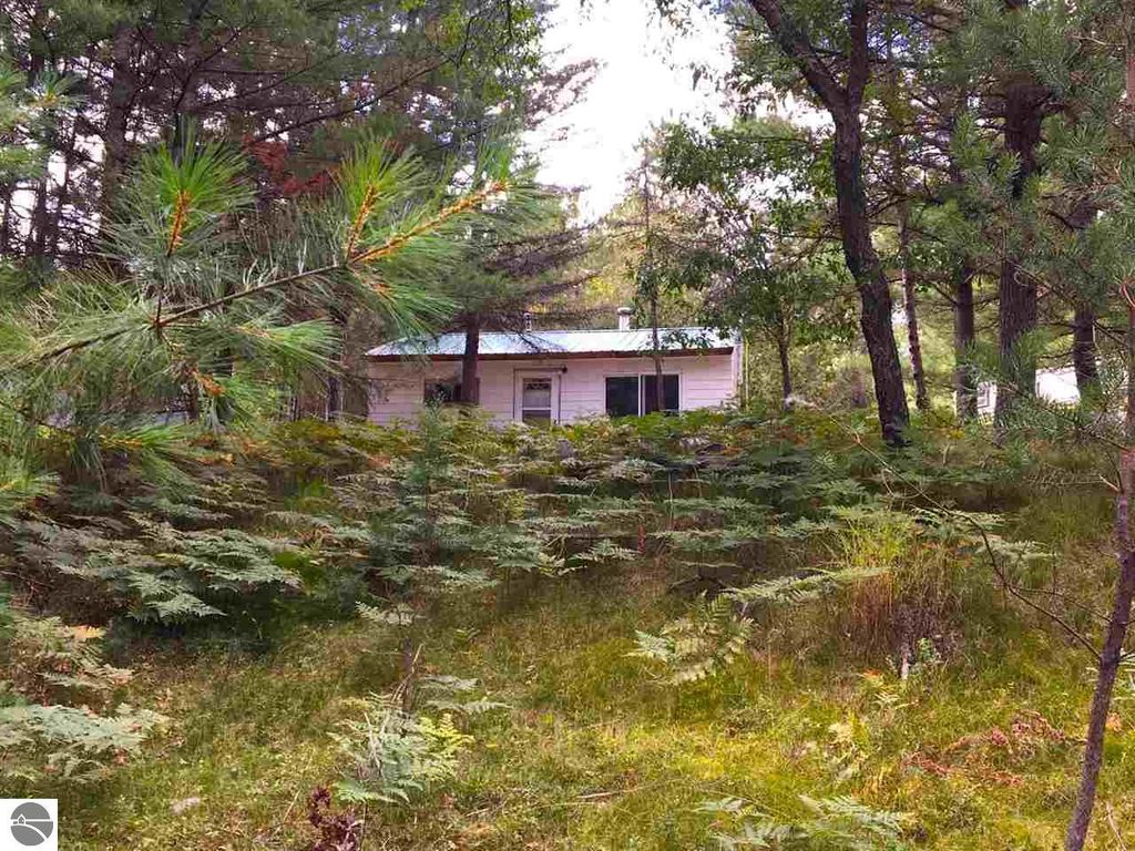 Image 8 of property listing at 9769 Parrot Circle, Fife Lake, MI 49633