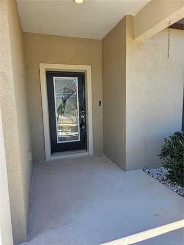 13805 TONYA ANNE DRIVE, Riverview, FL 33579