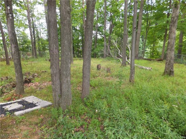 3041 Belmont Drive, Brooklyn Heights, OH 44131