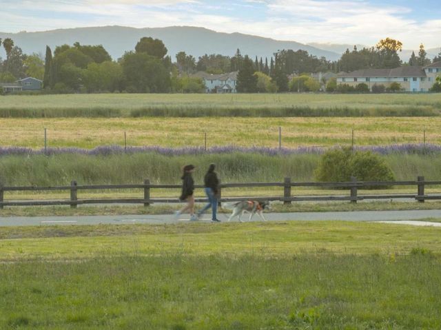 323 Blossom Hill Road 3, San Jose, CA 95123