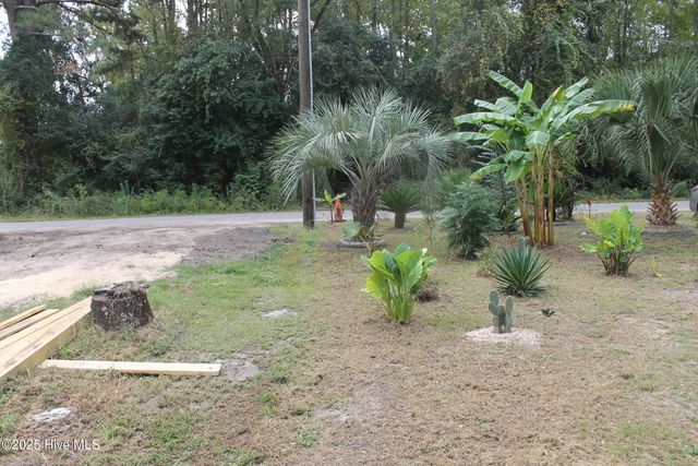 301 E Goodman Street, Fair Bluff, NC 28439