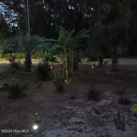 301 E Goodman Street, Fair Bluff, NC 28439