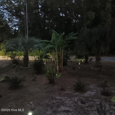 301 E Goodman Street, Fair Bluff, NC 28439