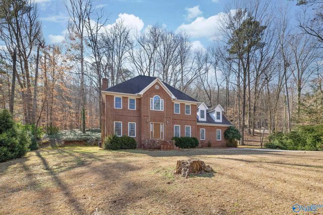 3315 Wyeth Drive, Guntersville, AL 35976