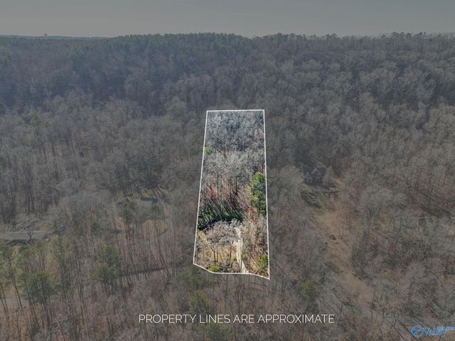 3315 Wyeth Drive, Guntersville, AL 35976