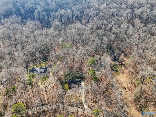 3315 Wyeth Drive, Guntersville, AL 35976