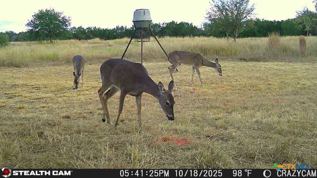 23651 Wolfridge Road, Killeen, TX 76549