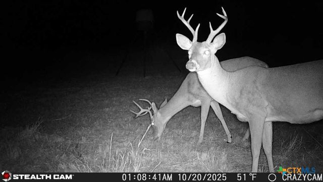 23651 Wolfridge Road, Killeen, TX 76549