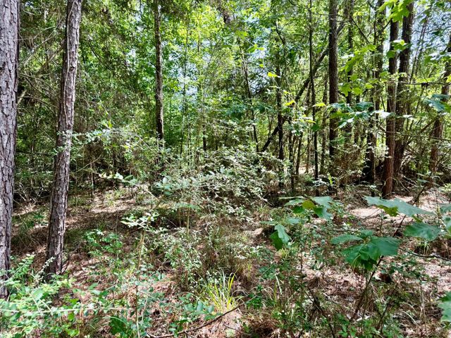 TBD Spring Creek Drive, Coldspring, TX 77331