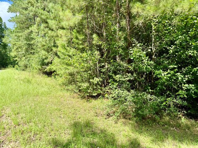 TBD Spring Creek Drive, Coldspring, TX 77331