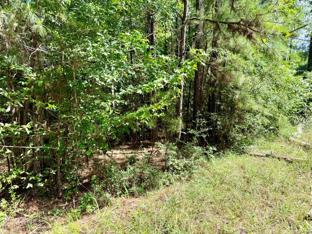 TBD Spring Creek Drive, Coldspring, TX 77331