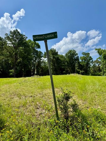 TBD Spring Creek Drive, Coldspring, TX 77331