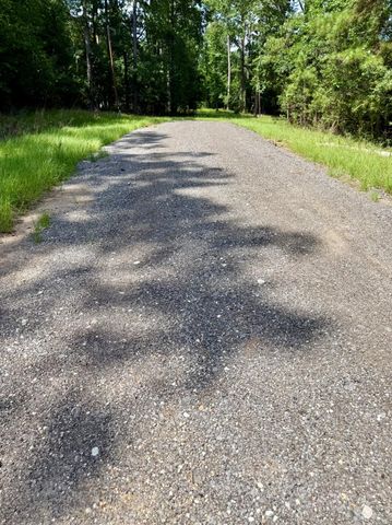 TBD Spring Creek Drive, Coldspring, TX 77331