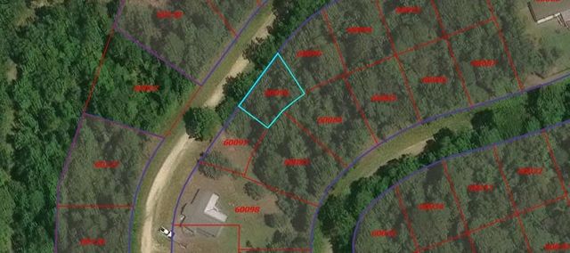 TBD Spring Creek Drive, Coldspring, TX 77331