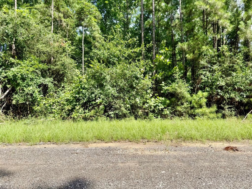 TBD Spring Creek Drive, Coldspring, TX 77331