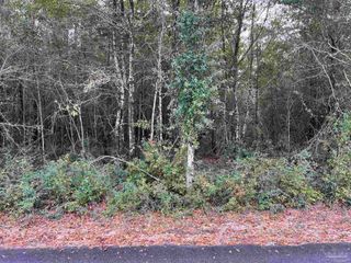 Lot 19 Horace Lunsford Rd, Milton, FL 32570