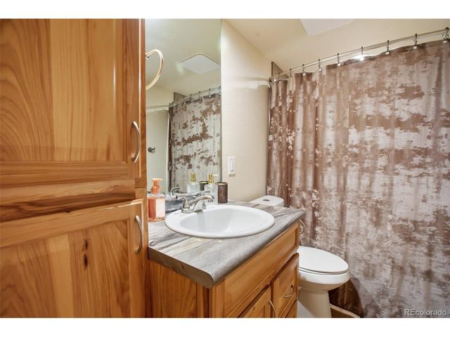 80 Potlatch Trl, Woodland Park, CO 80863