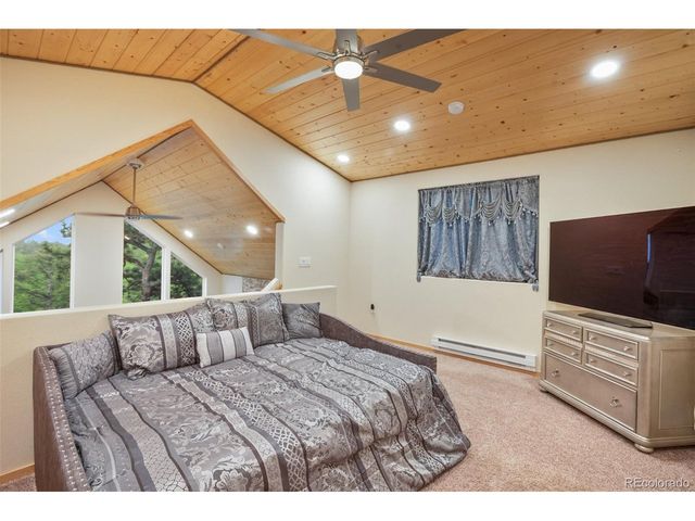80 Potlatch Trl, Woodland Park, CO 80863