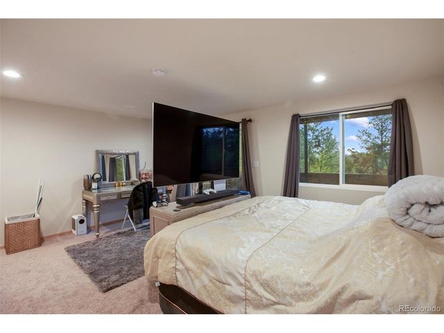 80 Potlatch Trl, Woodland Park, CO 80863