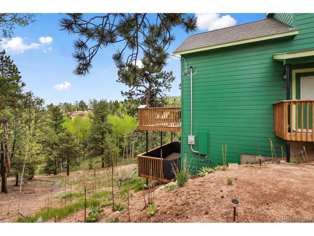 80 Potlatch Trl, Woodland Park, CO 80863