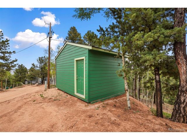 80 Potlatch Trl, Woodland Park, CO 80863