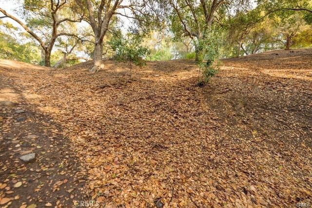 0 Elzevir Rd & Morro Dr Road, Woodland Hills, CA 91364