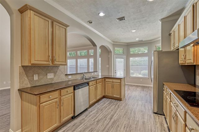 7 Raindance Court, The Woodlands, TX 77385