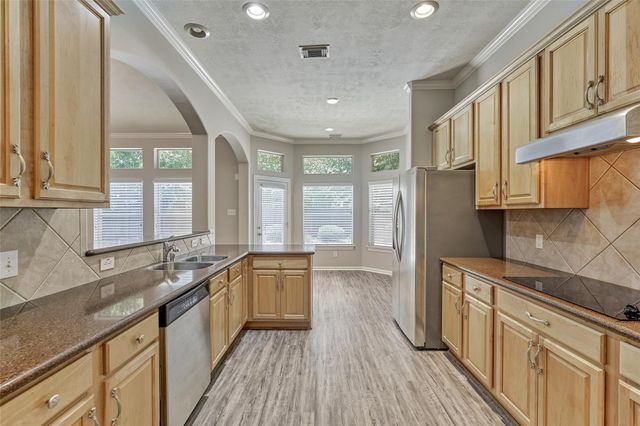 7 Raindance Court, The Woodlands, TX 77385