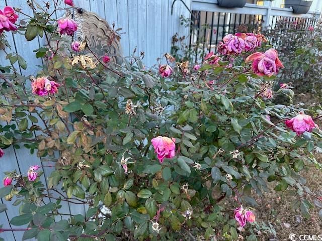 1009 Seaside Dr., North Myrtle Beach, SC 29582