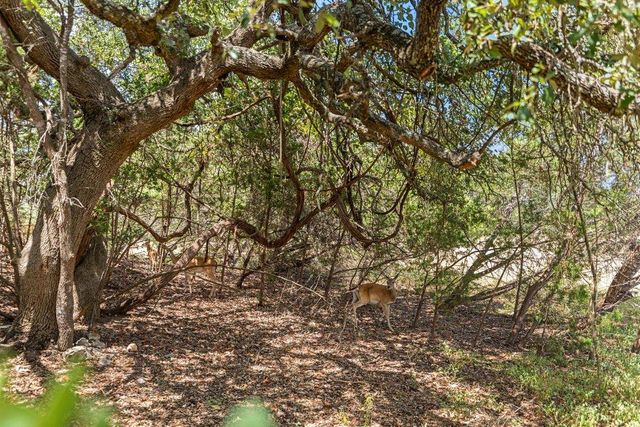 8 Stone Creek CIR, Wimberley, TX 78676