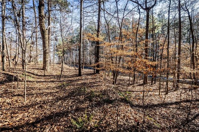 1001 Overlook Terrace, Ball Ground, GA 30107