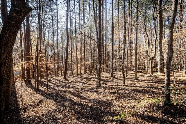 1001 Overlook Terrace, Ball Ground, GA 30107