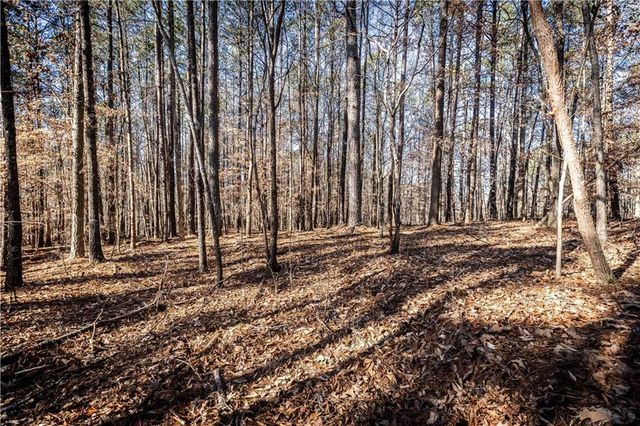 1001 Overlook Terrace, Ball Ground, GA 30107