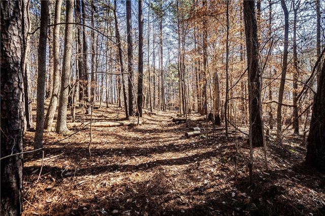 1001 Overlook Terrace, Ball Ground, GA 30107