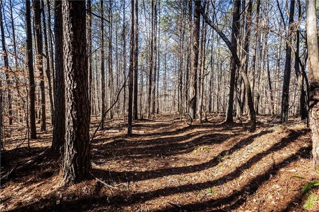 1001 Overlook Terrace, Ball Ground, GA 30107