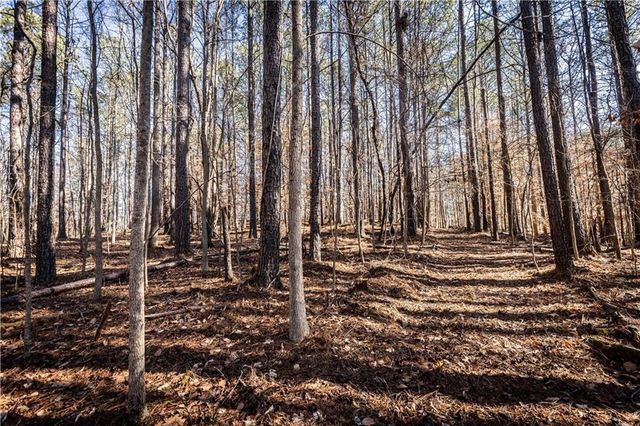 1001 Overlook Terrace, Ball Ground, GA 30107