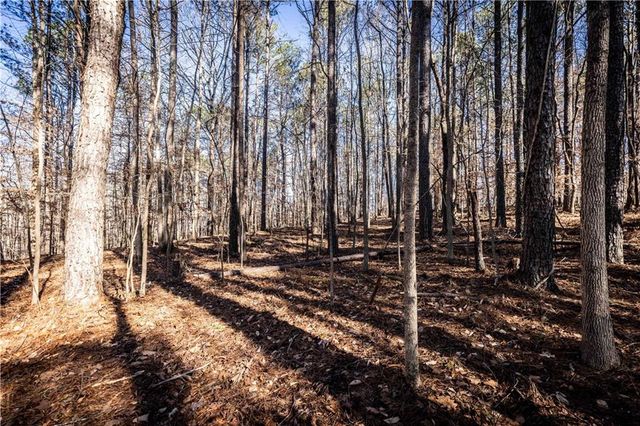 1001 Overlook Terrace, Ball Ground, GA 30107