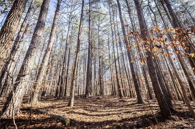 1001 Overlook Terrace, Ball Ground, GA 30107