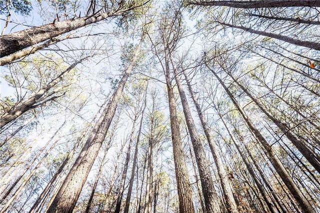 1001 Overlook Terrace, Ball Ground, GA 30107