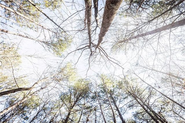 1001 Overlook Terrace, Ball Ground, GA 30107