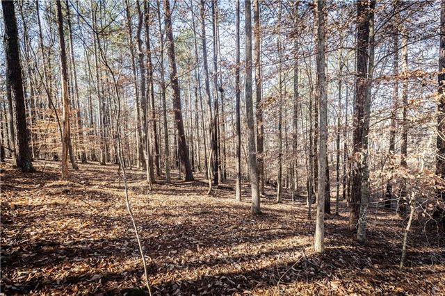 1001 Overlook Terrace, Ball Ground, GA 30107