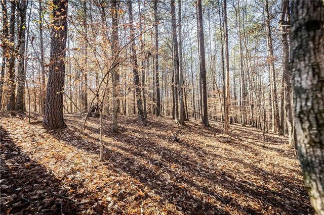 1001 Overlook Terrace, Ball Ground, GA 30107