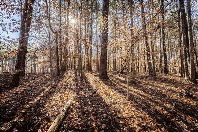 1001 Overlook Terrace, Ball Ground, GA 30107