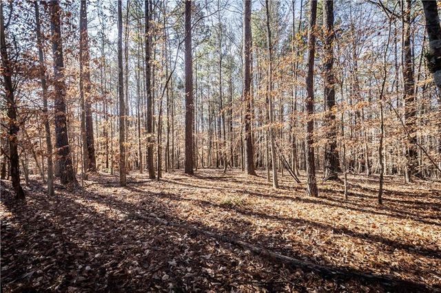 1001 Overlook Terrace, Ball Ground, GA 30107