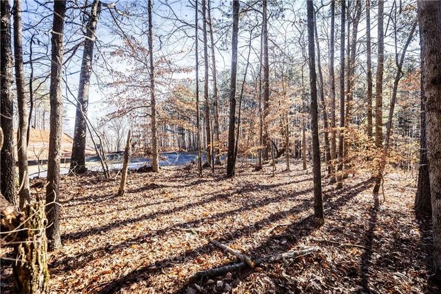 1001 Overlook Terrace, Ball Ground, GA 30107