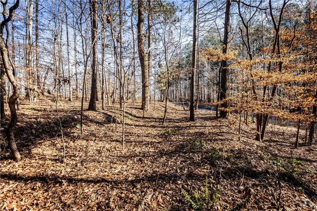 1001 Overlook Terrace, Ball Ground, GA 30107