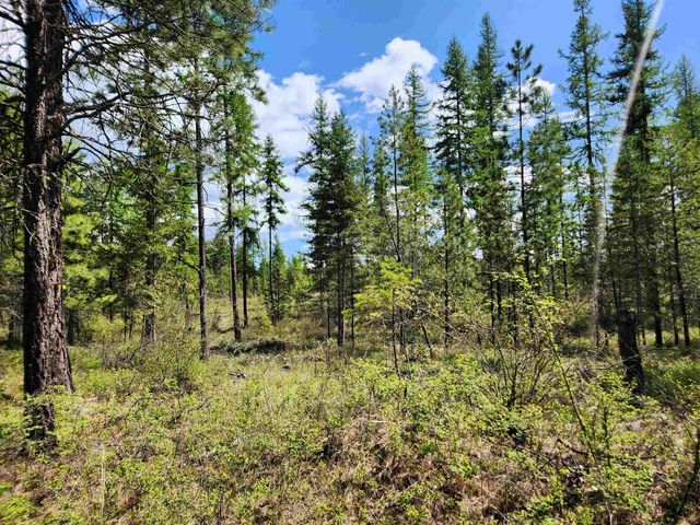 3669 E Jump Off Joe Rd, Valley, WA 99181 property photo